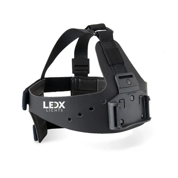 comp-lux-213897