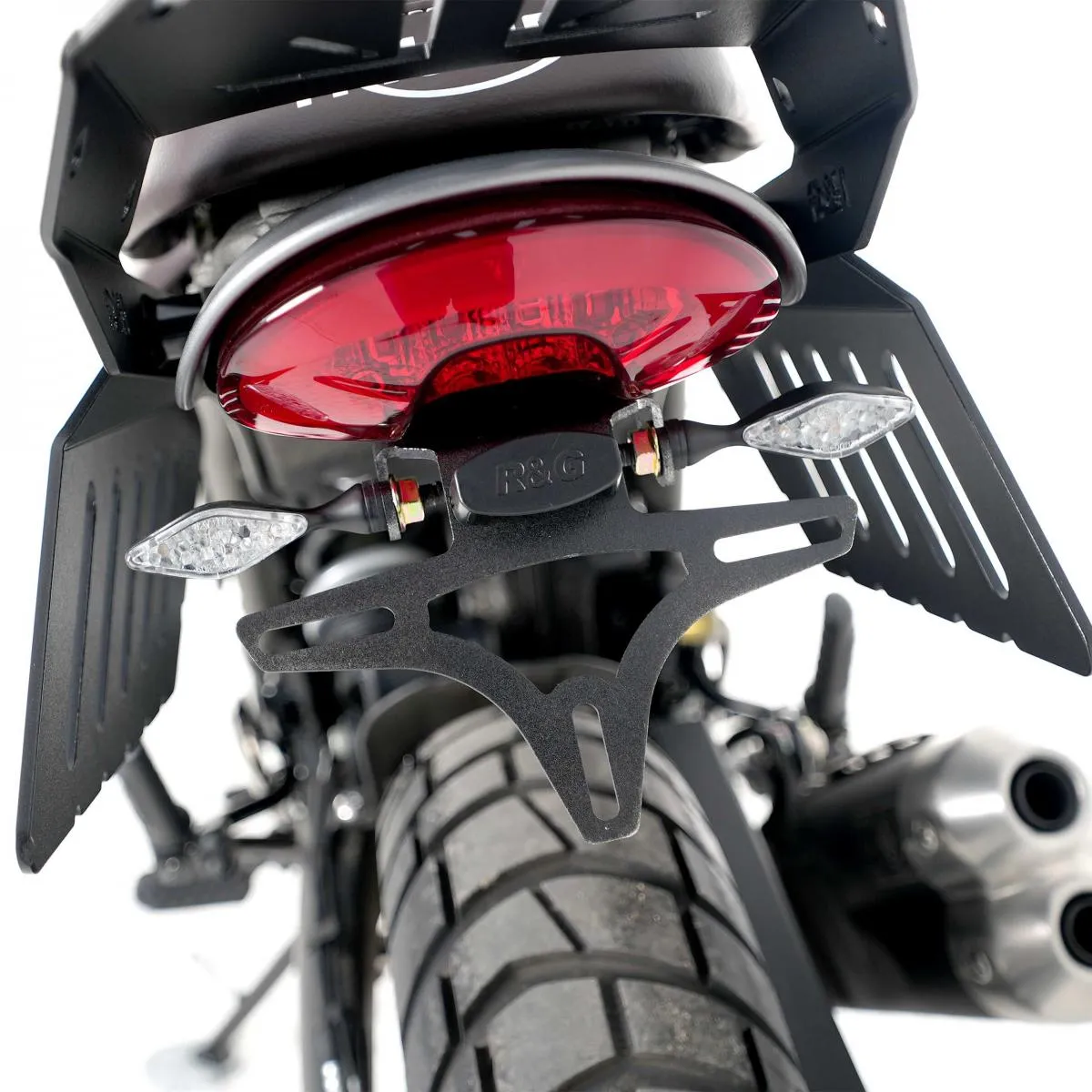 flyingeagle-325143