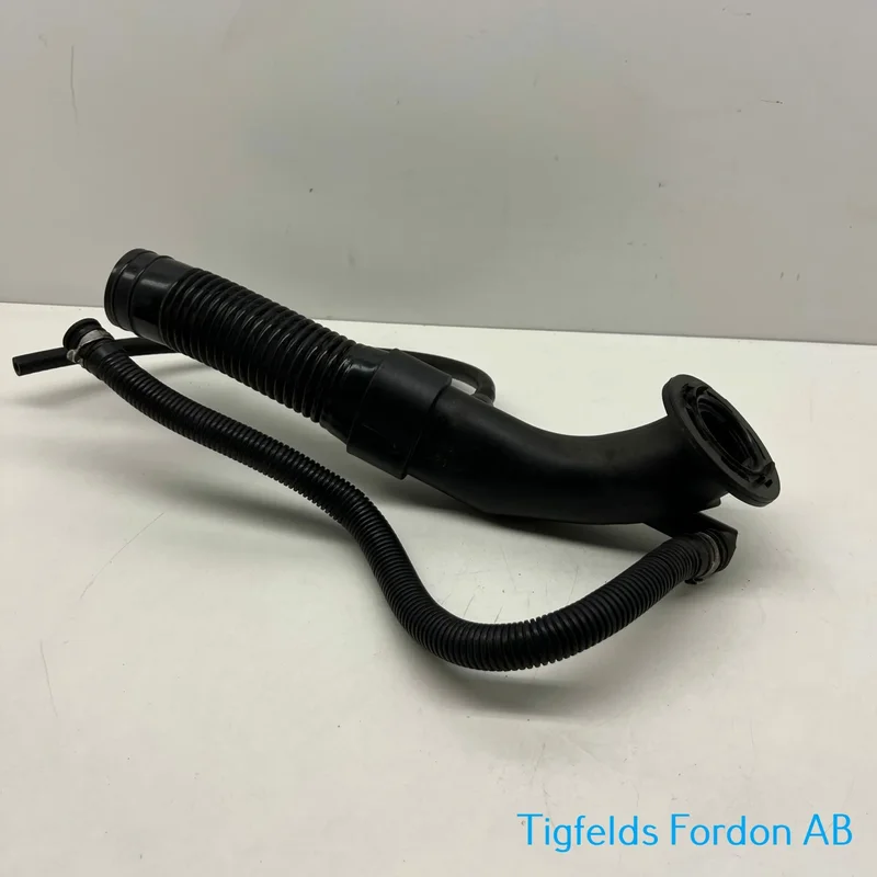 tigfelds-343894